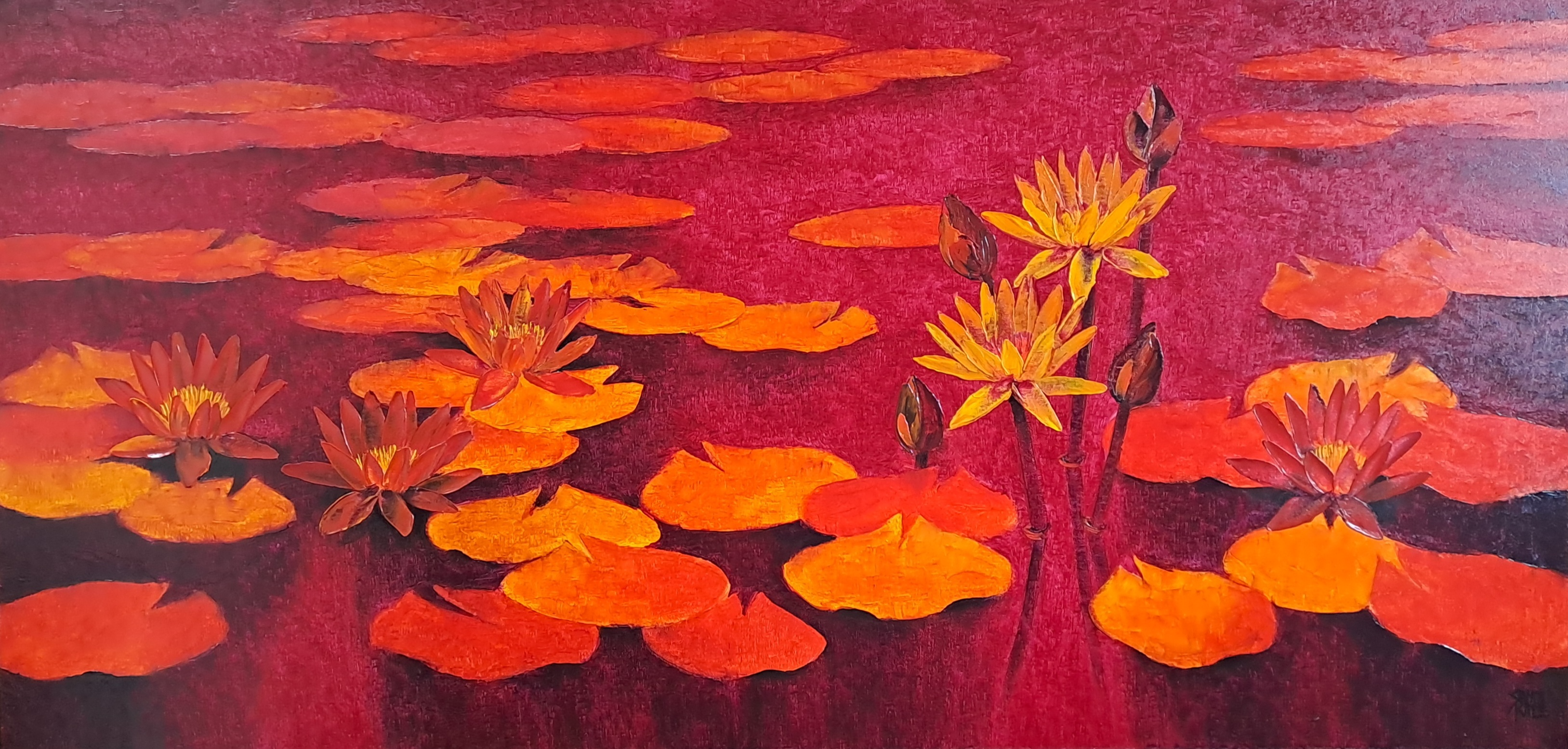 Water Lilies