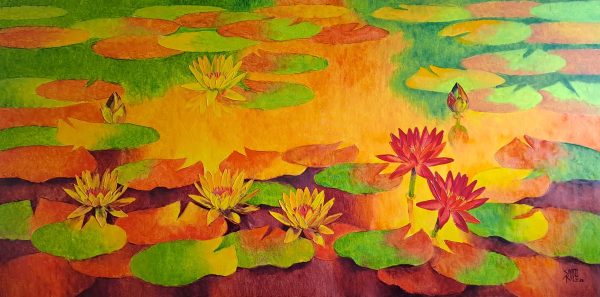 Water Lilies